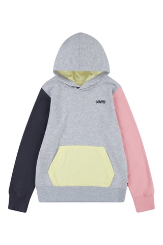 Sweat à capuche - Gris