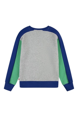 Sweat en coton biologique - Gris