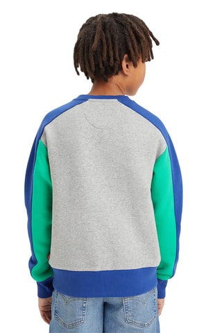 Sweat en coton biologique - Gris