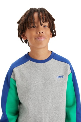 Sweat en coton biologique - Gris