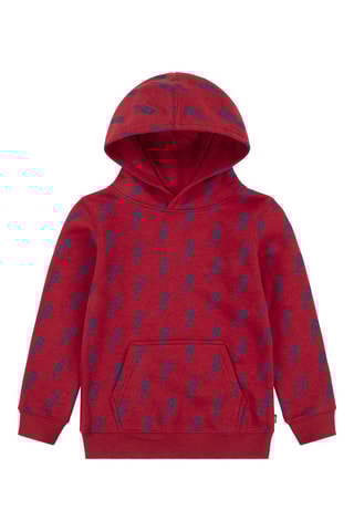 Sweat à capuche - Blanc, rouge et bleu