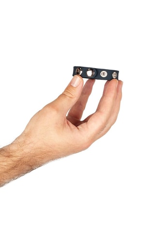 Anneau pénien - Gris