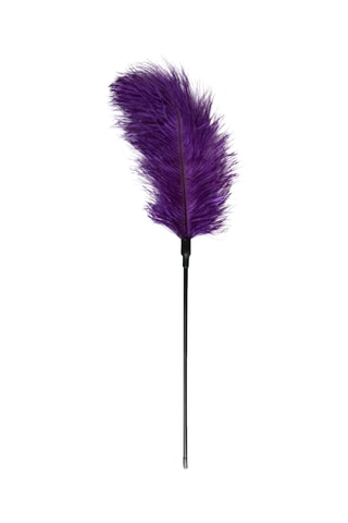 Plumeau à chatouille - Violet