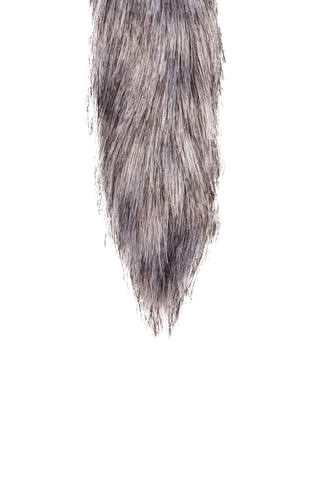 Plug anal - Argenté - 6 cm