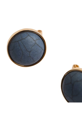 Puces - Doré et bleu foncé