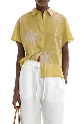 Chemisier - Vert foncé