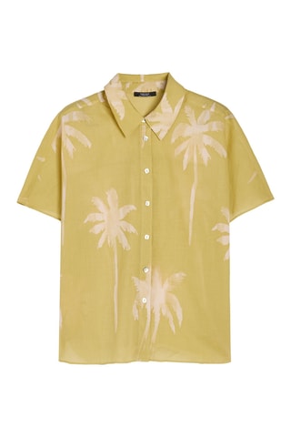 Chemisier - Vert foncé