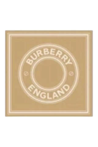 Carré en soie Roundel Sq - Beige