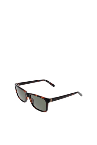 Lunettes de soleil homme - Catégorie 3 - Guess - Vert et marron