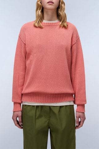 Pull D Sambre - Corail - Napapijri