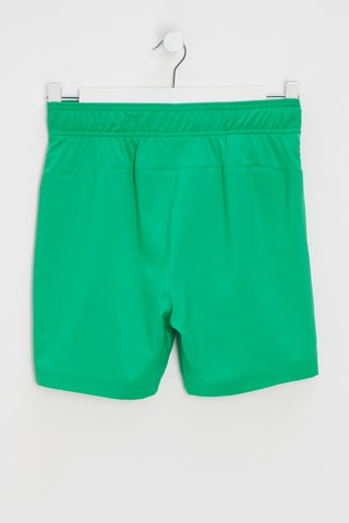 Shorts - Verde smeraldo - The North Face