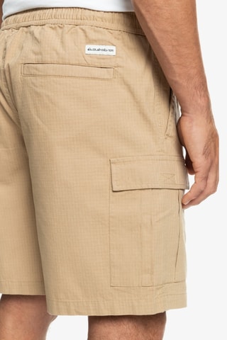 Short cargo en coton biologique - Marron - Quicksilver