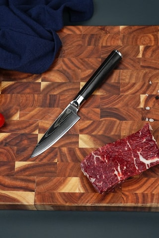 Coltello da frutta Core - 20,5 cm