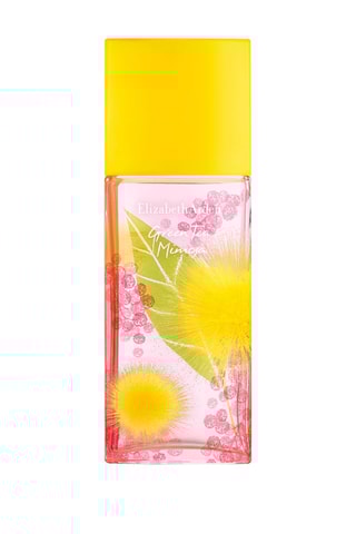 Green Tea Mimosa Elizabeth Arden - Eau de toilette 100 ml