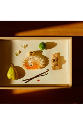 Soleil Vibrant Lalique - Eau de parfum 50 ml