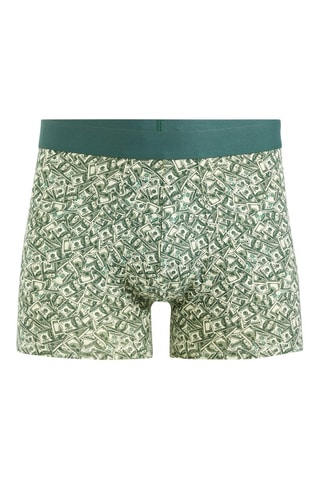 Parigamba - Beige e verde