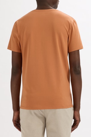 T-shirt slim - Marrone