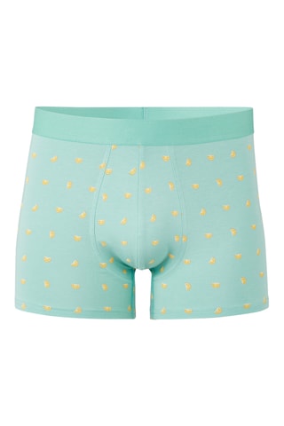 Parigamba in cotone bio - Verde acqua