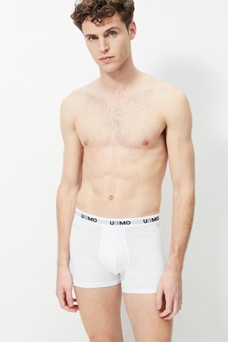 Boxer - Wit