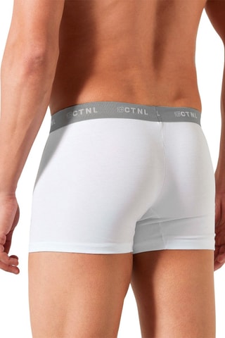 Boxer - Wit