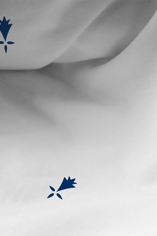 Drap-housse imprimé Breizh Blanc