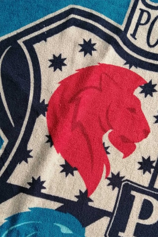 Drap de plage Harry Potter - Bleu pétrole