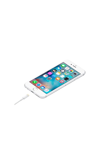 Câble Apple - Lightning vers USB - 1 m