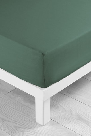 Lenzuolo sotto in cotone 57 fili/cm² Lina - Verde