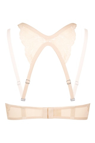 Reggiseno push-up con ferretti Charisma - Beige - Lisca