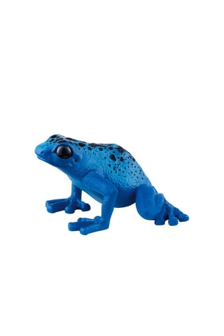 Rana Dendrobate Wild Life - Da 3 anni