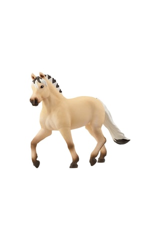 Giumenta Fjord Horse Club - Da 5 anni