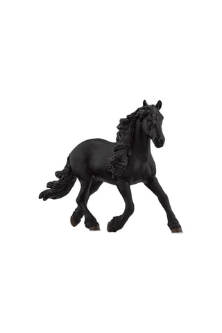 Stallone Frisone Horse Club - Da 5 anni