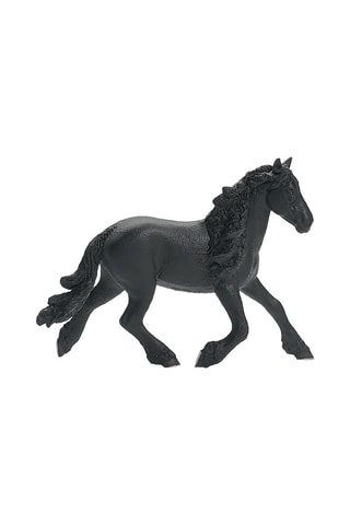 Stallone Frisone Horse Club - Da 5 anni