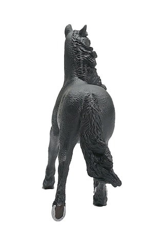 Stallone Frisone Horse Club - Da 5 anni
