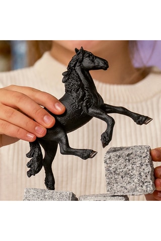 Stallone Frisone Horse Club - Da 5 anni