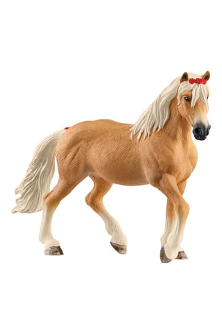 Giumenta Haflinger - Da 5 a 12 anni