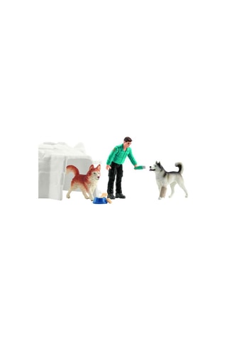 Spedizione in Antartide Wild Life - Da 3 anni