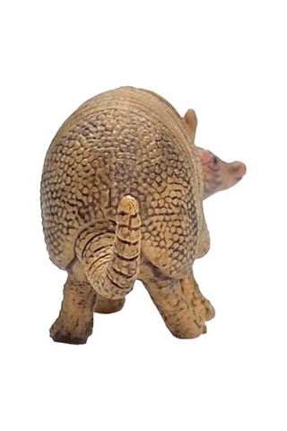 Armadillo Wild Life - Da 3 anni