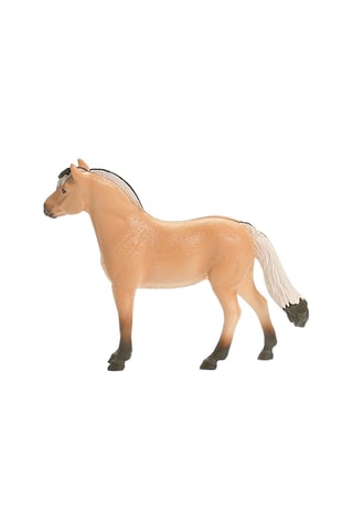 Castrone Fjord Horse Club - Da 5 anni