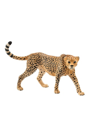 Ghepardo femmina Wild Life - Da 3 anni