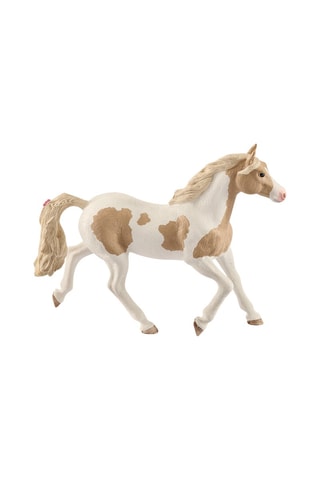 Giumenta Paint Horse - Da 5 anni