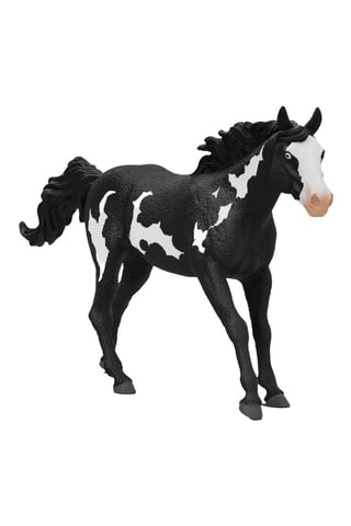Statuina castrone Paint Horse - 5-12 anni