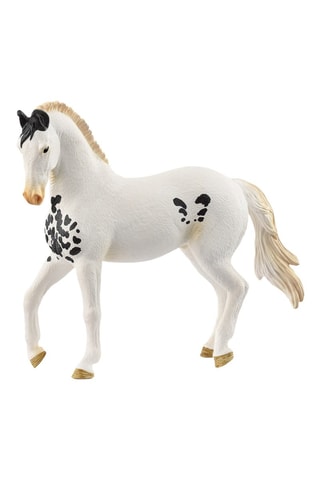 Statuina stallone Marwari - 5-12 anni
