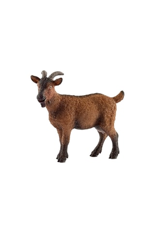 Capra Farm World< - Da 3 anni