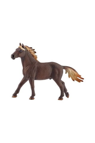 Stallone Mustang - Da 5 anni