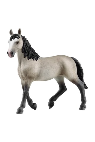 Giumenta Selle Français Horse Club - Da 5 anni