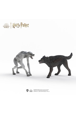 Lupo mannaro vs Animagus - Da 6 anni