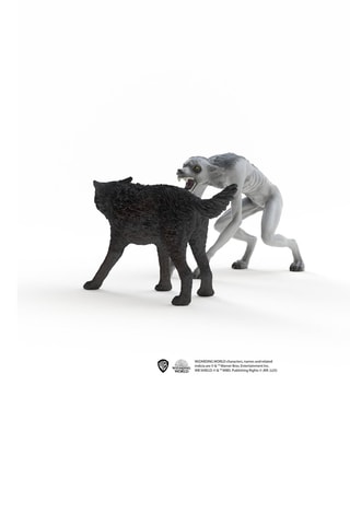 Lupo mannaro vs Animagus - Da 6 anni