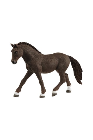 Pony da sella tedesco castrone Horse Club - Da 5 anni
