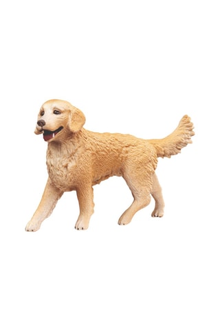 Set cuccia con golden retriever - Da 3 anni
